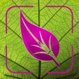 Ícone do programa: Plant Disease Identifier …