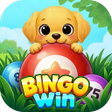 プログラムのアイコン：Bingo Pop: Blast  Win