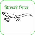 程序图标：Chhipkali girana (in Hind…