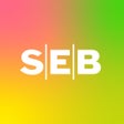 Ikon program: SEB Ung