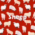 Animal Wallpaper Sheep