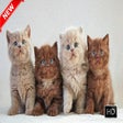 Icon of program: Cats New Tab Page
