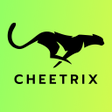 ไอคอนของโปรแกรม: Cheetrix VPN