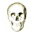 Ikona programu: Anatomy Quiz