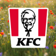 Иконка программы: KFC Беларусь