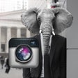 Icoon van programma: Animal Face Camera