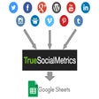 Icon of program: TrueSocialMetrics Sync