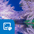 プログラムのアイコン：Sakura by the Riverside
