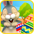 أيقونة البرنامج: Rabbit Frenzy Easter Egg …