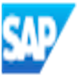 Ikon program: SAP Business Technology P…