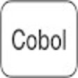 ไอคอนของโปรแกรม: CoBol
