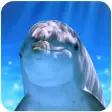 Tap Dolphin -3Dsimulation game