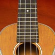 Programın simgesi: Ukulele Companion