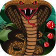 プログラムのアイコン：Snakes and Ladders Game