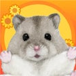 Symbol des Programms: ハムスターの里 -癒し系の箱庭街づくりゲームまちづ…