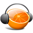 程序图标：pulpTunes