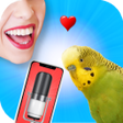 Ícone do programa: Bird Translator Simulator