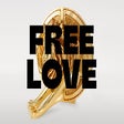 Icoon van programma: FREELOVE(thework)