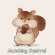 程序图标：Munching Squirrel Theme