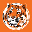 程序图标：TIGERPIZZA