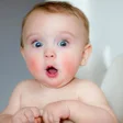 プログラムのアイコン：cute funny babies