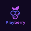 プログラムのアイコン：Playberry