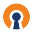 程序图标：OpenVPN Connect