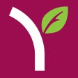 Icon of program: Yogurtland