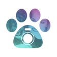 Icon of program: Petcam - Pet Camera