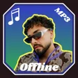 Ícone do programa: Sefo Şarkıları - Internet…