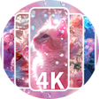 Иконка программы: 4K Wallpapers designer