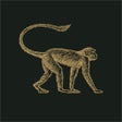 Programın simgesi: Mowgli Street Food
