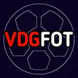 程序图标：VDGFOT