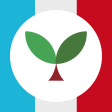 Learn French with Seedlang