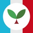 Programın simgesi: Learn French with Seedlan…