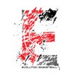 プログラムのアイコン：Evo Tourneys