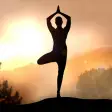 Sanskrit Yoga Skill-Tips and Tutorials