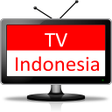 Tv Indonesia Online Pro icon