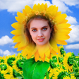 程序图标：Flower Photo Frame