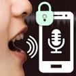 プログラムのアイコン：Voice Lock Screen