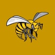 Icon of program: Alabama State Athletics