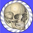 Programın simgesi: Speed Bones Lite Quiz