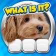Guess it Zoom Pic Trivia Game