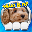Icon of program: Guess it Zoom Pic Trivia …