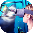 程序图标：The Best VR Videos