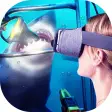 The Best VR Videos