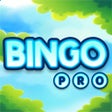 ไอคอนของโปรแกรม: Bingo Masters Professiona…