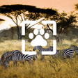 Иконка программы: Animals Wallpaper HD