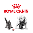 Ikon program: Royal Canin  Moi