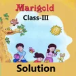 ไอคอนของโปรแกรม: Class 3 English Solution